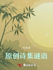 诗歌谜语大全
