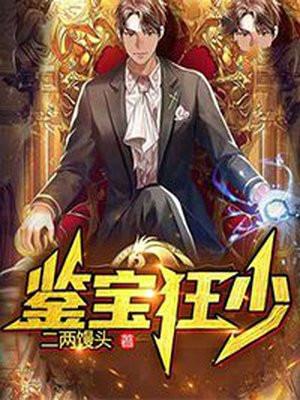 鉴宝狂少TXT全本免费阅读