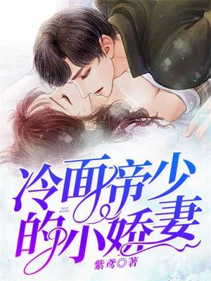 冷面帝少傲娇宠妻