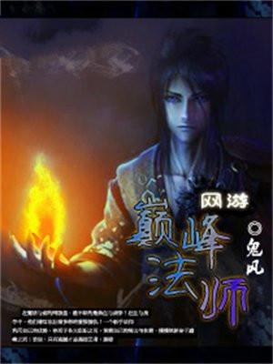 网友之巅峰法师