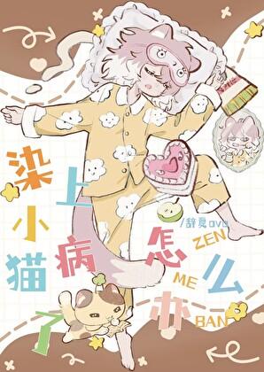 猫生病了怎么治疗