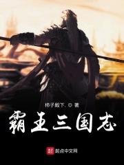 霸王三国志玉玺怎么获得