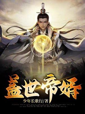盖世帝婿叶凡人物介绍