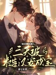 知青vs糙汉