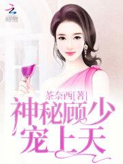 神秘顾少宠上天