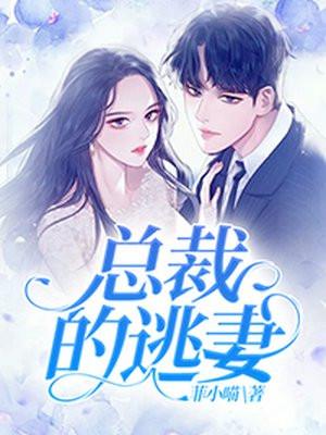 花心总裁的逃妻
