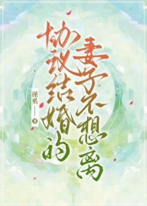 协议结婚的妻子不想离在线阅读