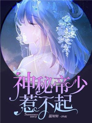 神秘帝少宠上瘾免费阅读
