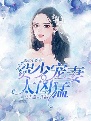 贺少宠妻