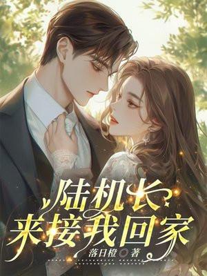 陆机长要结婚了免费阅读