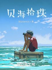 贝海拾珠值不值得收藏