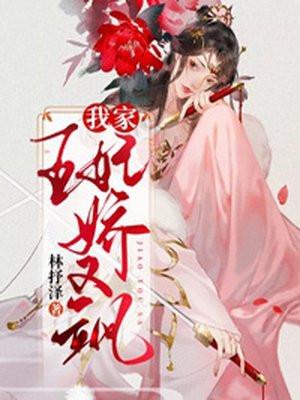 我家王妃很是拽免费阅读