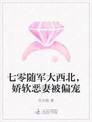 穿越村花军嫂