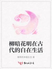 柳暗花明的古诗词