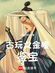 古玩之金瞳鉴宝3Q