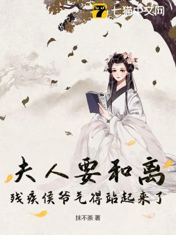 夫人和离之后