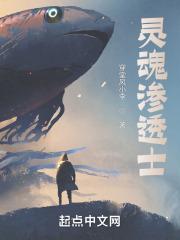 灵魂的透亮或腐灭