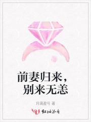 前妻别来无恙txt墨云归