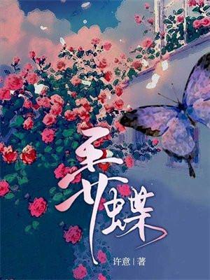 弄蝶晋江