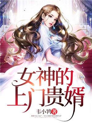 女神的上门贵婿全文免费阅读完整版