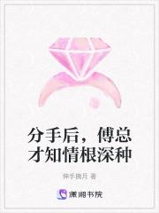 傅爷的心尖宠第一章我们分手吧