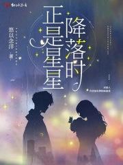 星星落下是什么意思