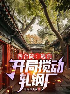 四合院开局坑棒梗手打