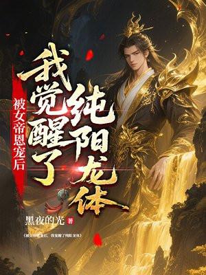 我觉醒了纯阳龙体 黑夜的光