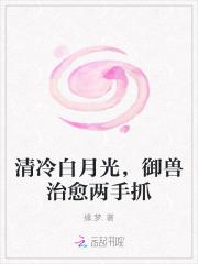 清冷白月光