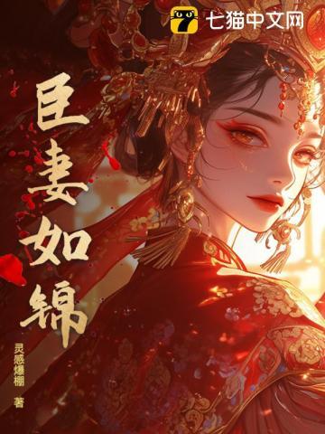 臣妻讲的是什么故事