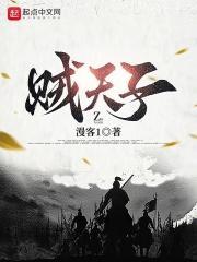 贼天子几个女主