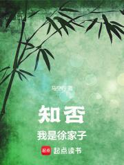 知否我是徐家子无错版