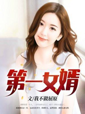 第一女婿陈风叶青青