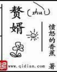 赘婿电视剧