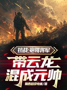 带云龙混成元帅目录