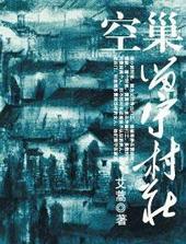 空巢留守村庄沈丹
