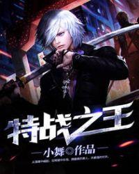 特战之王电视剧