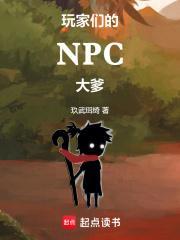 玩家们的NpC大爹