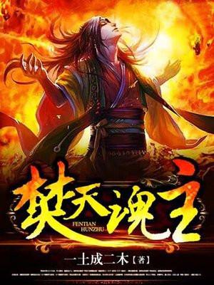 焚天魂主百科