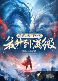 我升到满级 作者排骨年糕