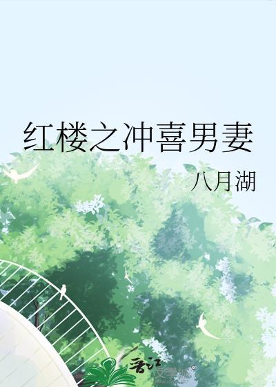 红楼之冲喜男妻22