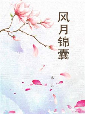 风月锦囊齐雁锦