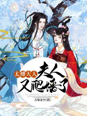 太傅大人要冷静
