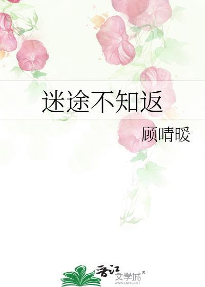迷途不知返顾晴暖