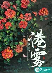 港雾入怀