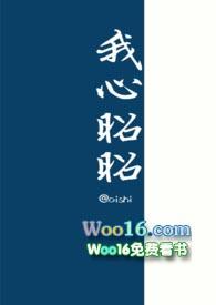 我心昭昭npc