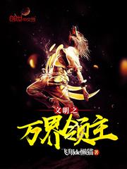 文明之万界领主同人