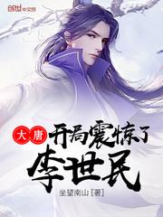 大唐开局震惊了李世民的