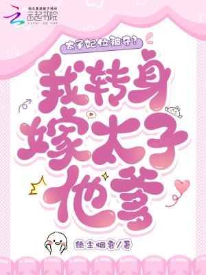 太子妃变贵妃的