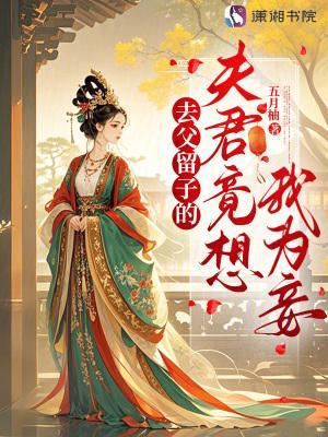 去父留子的夫君竟想我为妾免费阅读